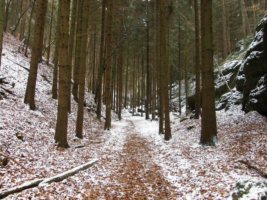 P1010020.jpg