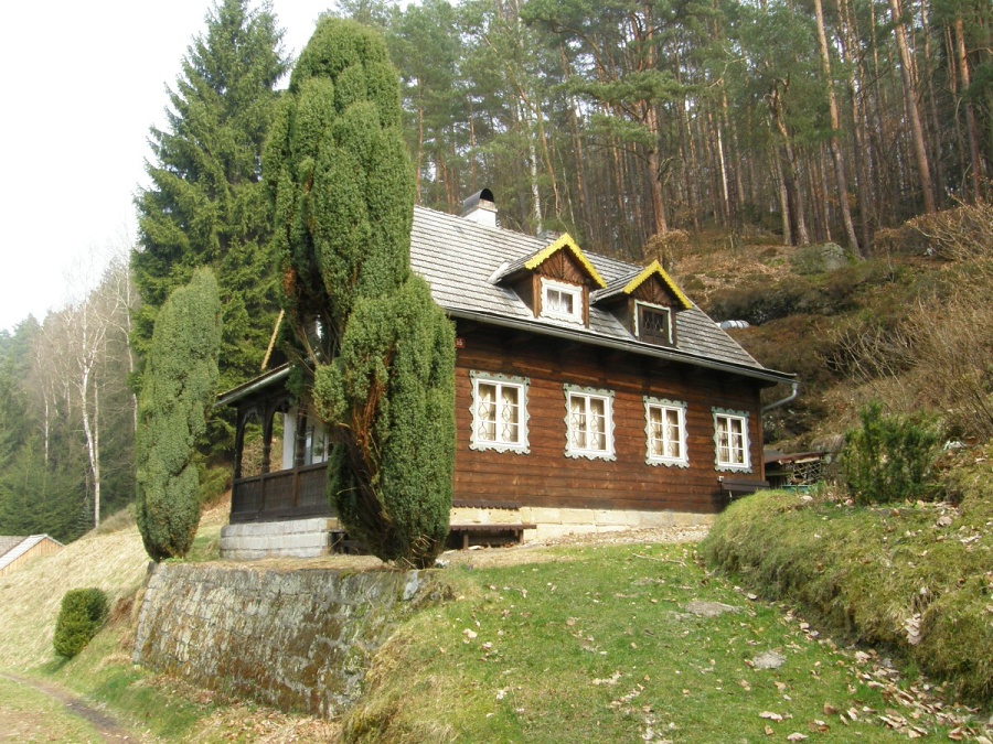 P4050036.jpg